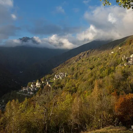 Walser House Gasthof 3*