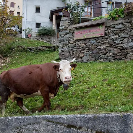 Walser House 3*